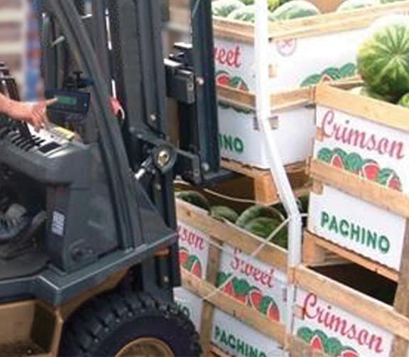 Mobile Weighing Grocery