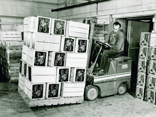 A Clark Carloader transporting a pallet