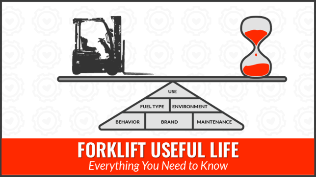 Forklift Useful Life: Everything You Need to Know