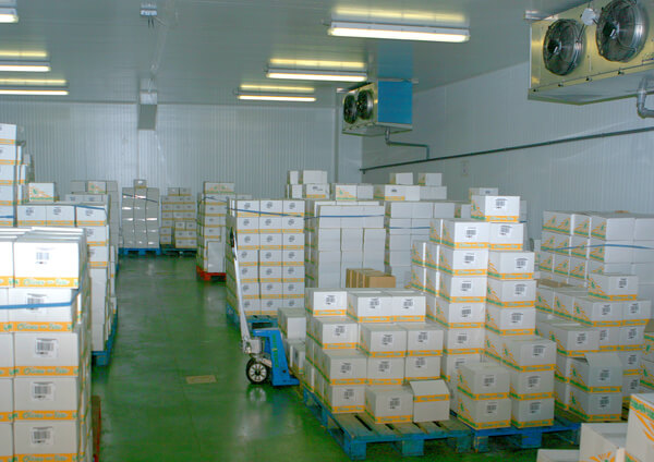 A pallet jack in a cold storage freezer