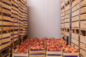 Apples in crates in cold storage interior.