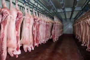 A cold storage room hanging meat products