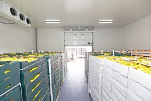 Crates of produce stored in a refrigerated space