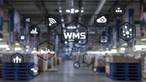 A digital web with "WMS" in the center imposed over a warehouse image