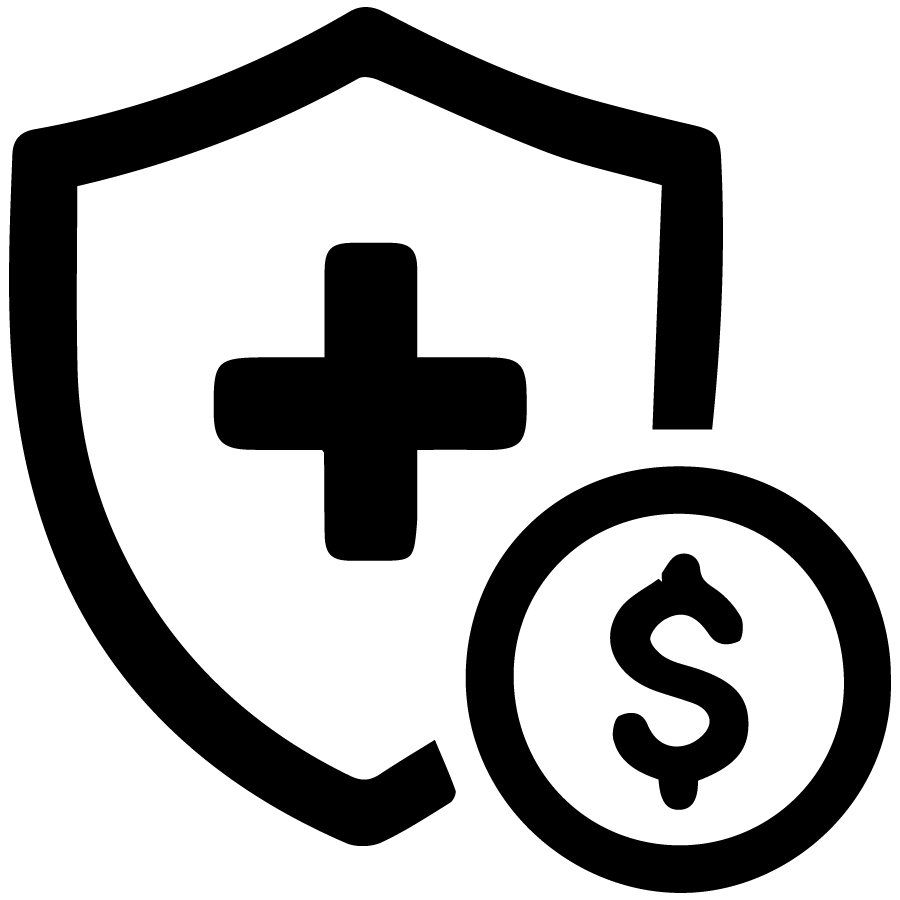 Cost and Insurance Considerations Icon - Black