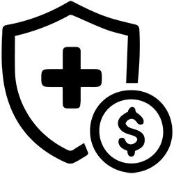 Cost and Insurance Considerations Icon - Black