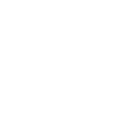 Utility Vehicle Electric Parts Icon - White