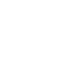 Utility Vehicle Repair Troubleshooting & Diagnosis Icon - White