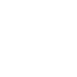 Utility Vehicle Training Types & Features Icon - White